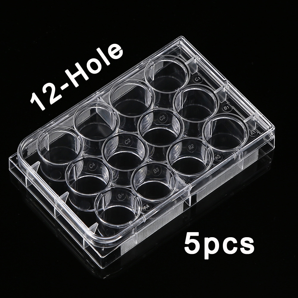 Medical Wellness & Spa Werona - 5 pz polistirene 12 pozzetti piastre